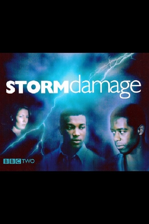 Постер Storm Damage